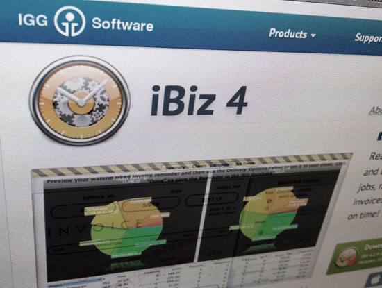 iBiz timekeeping and invoicing software